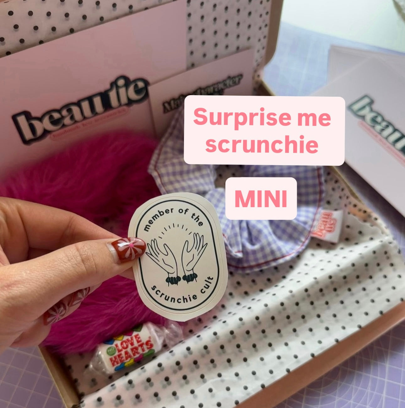 Mini Scrunchie Surprise Me